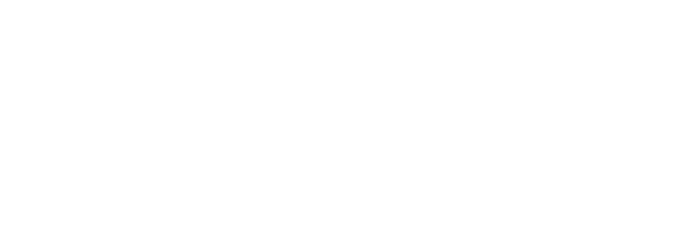 QUIXEL